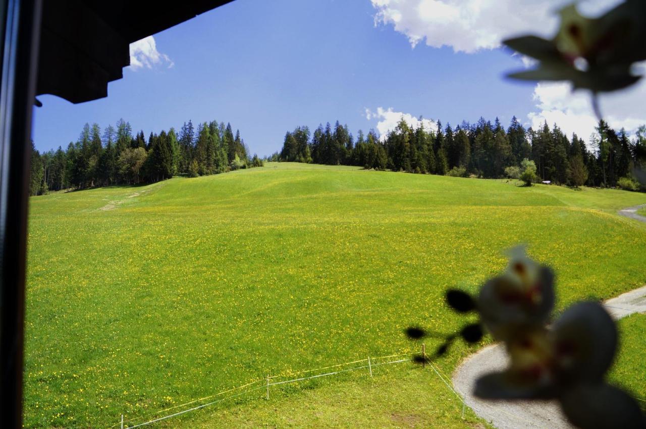 Sauschneidhof - Radstadt Kültér fotó
